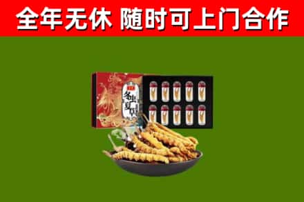 绥芬河市回收冬虫夏草价格